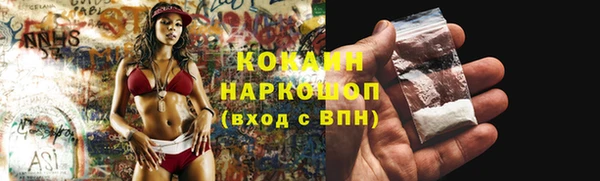ECSTASY Гусь-Хрустальный