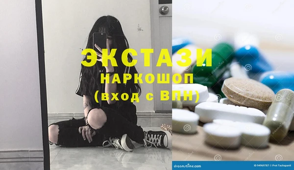ECSTASY Гусь-Хрустальный
