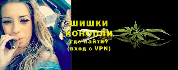 ECSTASY Гусь-Хрустальный