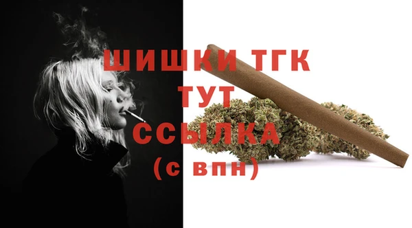 дмт Горнозаводск