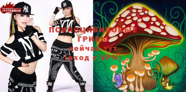 гидропоника Гусев