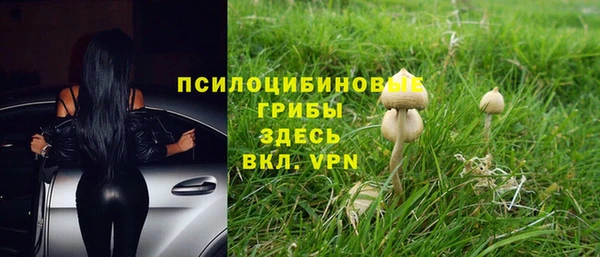 jwh Гусиноозёрск