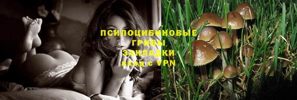 jwh Гусиноозёрск