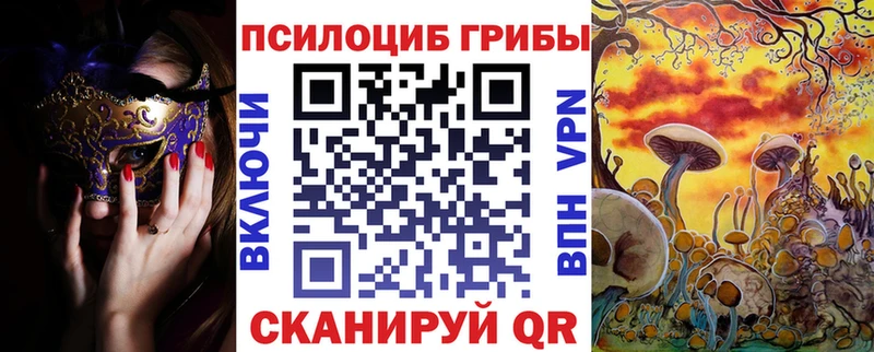 Галлюциногенные грибы мицелий  Купить закладки  Инза 